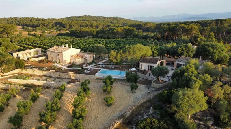 Treurer: Olive Oil Night. Gastronomic experience - Inside the mill, from harvest to bottle