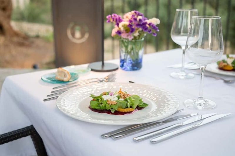 Treurer: Olive Oil Night. Gastronomic experience - The terrace, views, and evening mood