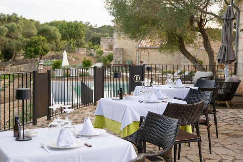Treurer: Olive Oil Night. Gastronomic experience - Starting at the family estate