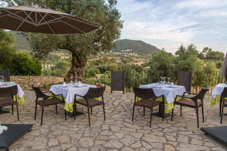 Treurer: Tapas Gourmet and Extra Virgin Olive Oil - How long the experience really takes