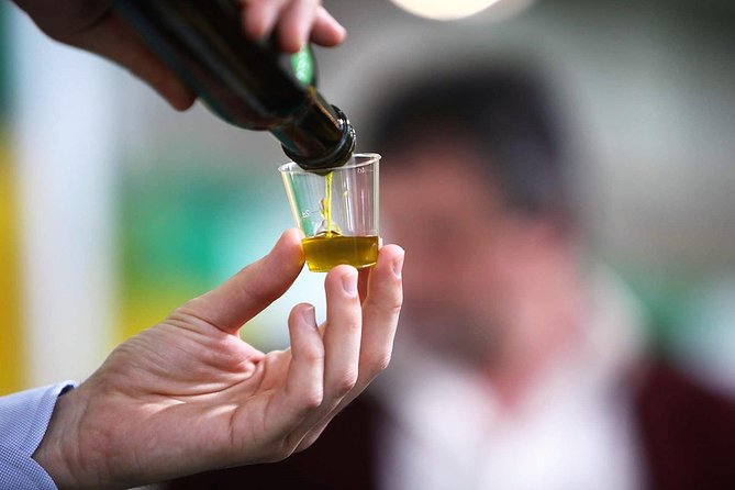 Tuscan ExtraVirgin Olive Oil Tour - Key points at a glance