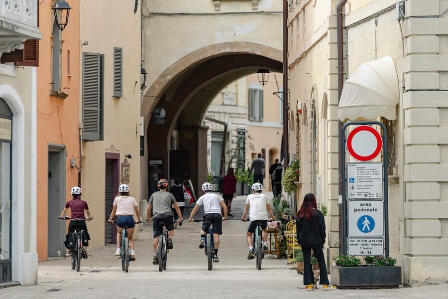 Umbria: E-Bike Rental and Fresh EV Olive Oil Tasting - What you may see during the autumn olive harvest
