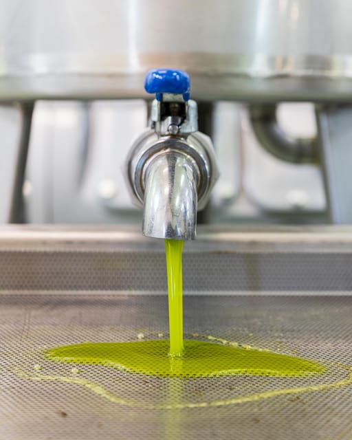 Umbria: E-Bike Rental and Fresh EV Olive Oil Tasting - Learning to taste extra virgin olive oil
