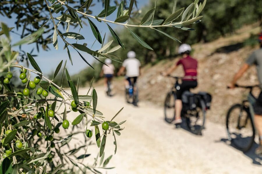 Umbria: E-Bike Rental and Fresh EV Olive Oil Tasting - Following the GPS route through olive groves