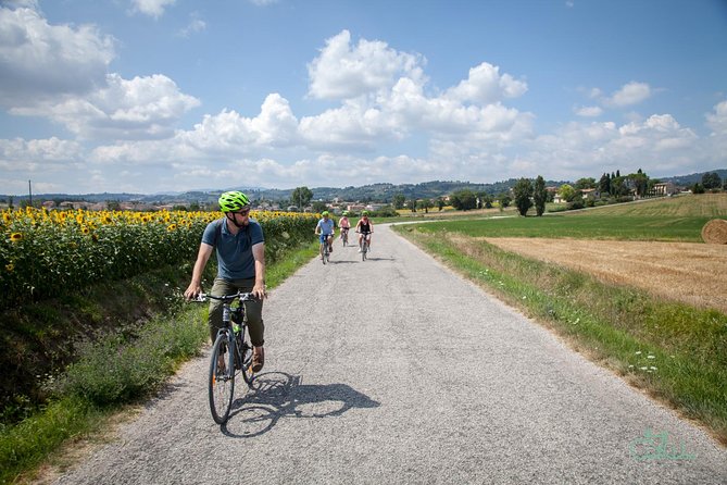 Umbria E-Bike & Wine Tour through Vineyards and Olive Groves - Key points to know before you book