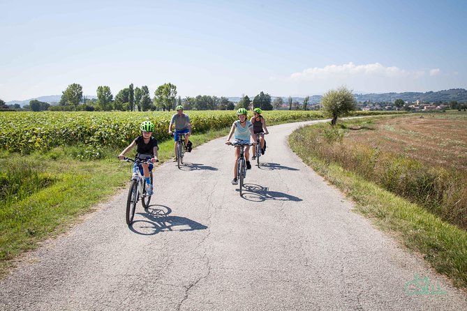 Umbria E-Bike & Wine Tour through Vineyards and Olive Groves - Cantina La Fonte: wine, food, and a slower pace