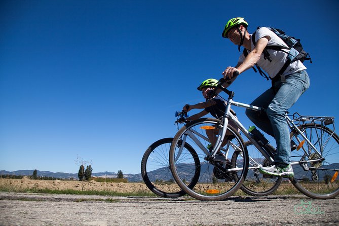 Umbria E-Bike & Wine Tour through Vineyards and Olive Groves - What the guide adds to the experience