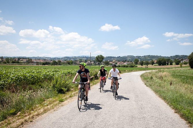 Umbria E-Bike & Wine Tour through Vineyards and Olive Groves - Who will get the most from this tour?