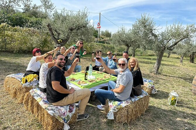 Umbria: Guided tour to Traditional Olive Oil Mill and Tasting - Key points at a glance