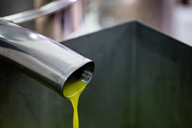 Umbria: Guided tour to Traditional Olive Oil Mill and Tasting - Inside Frantoio Del Sero with Enrico
