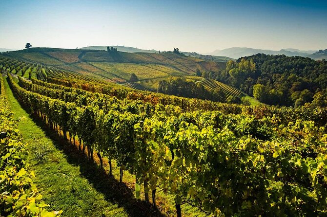 Valpolicella Wine and Olive Oil Tasting with Lunch from Verona - A natural bridge and a change of pace