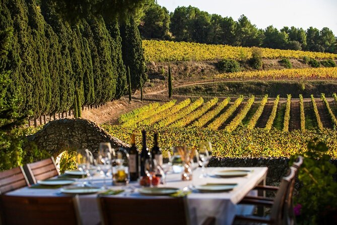 Valpolicella Wine and Olive Oil Tasting with Lunch from Verona - Why the private format changes the value