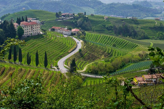 Valpolicella Wine and Olive Oil Tasting with Lunch from Verona - Is $689.61 per person fair?