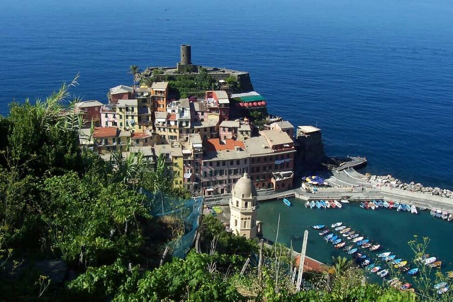 Vernazza (5 Terre): olive grove tour and oil and wine tasting - Key points at a glance