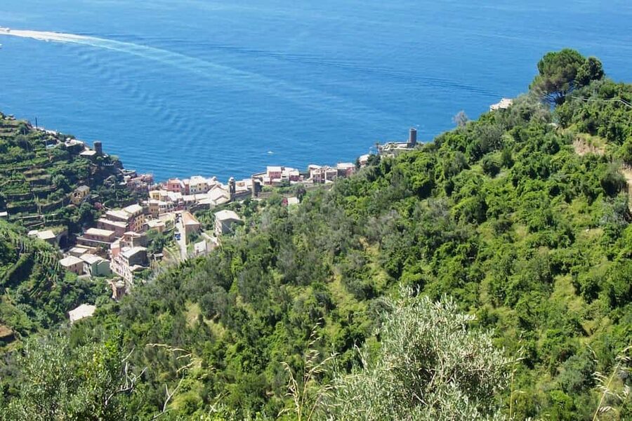 Vernazza (5 Terre): olive grove tour and oil and wine tasting - Reaching Madonna di Reggio at 330 meters