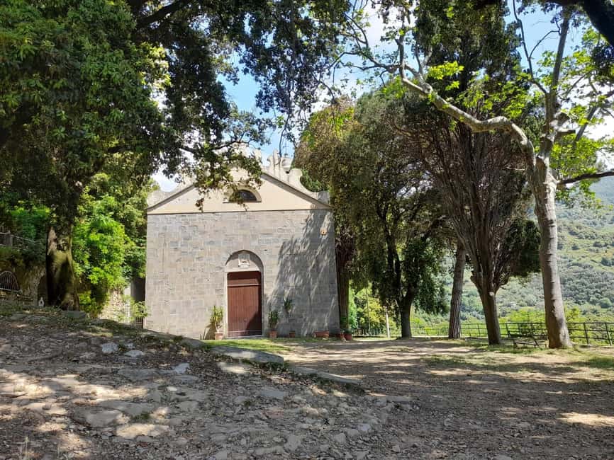 Vernazza (5 Terre): olive grove tour and oil and wine tasting - Oil, wine, focaccia, and a shady pear tree