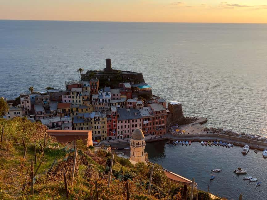 Vernazza (5 Terre): olive grove tour and oil and wine tasting - The mule track and the Cinque Terre terraces