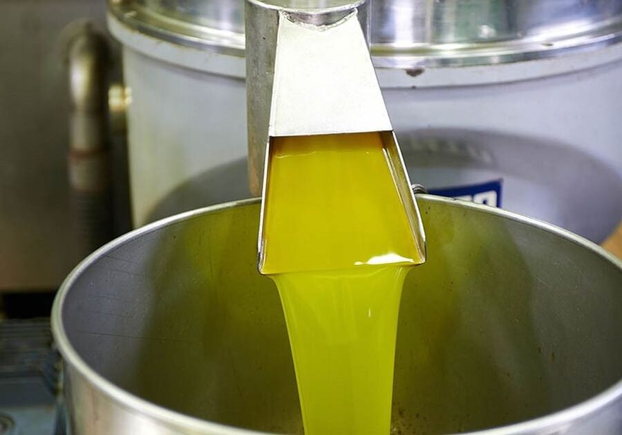 Villa Castelli: Highlights Walking Tour w/ Olive Oil Tasting - Inside a Four-Generation Olive Oil Factory