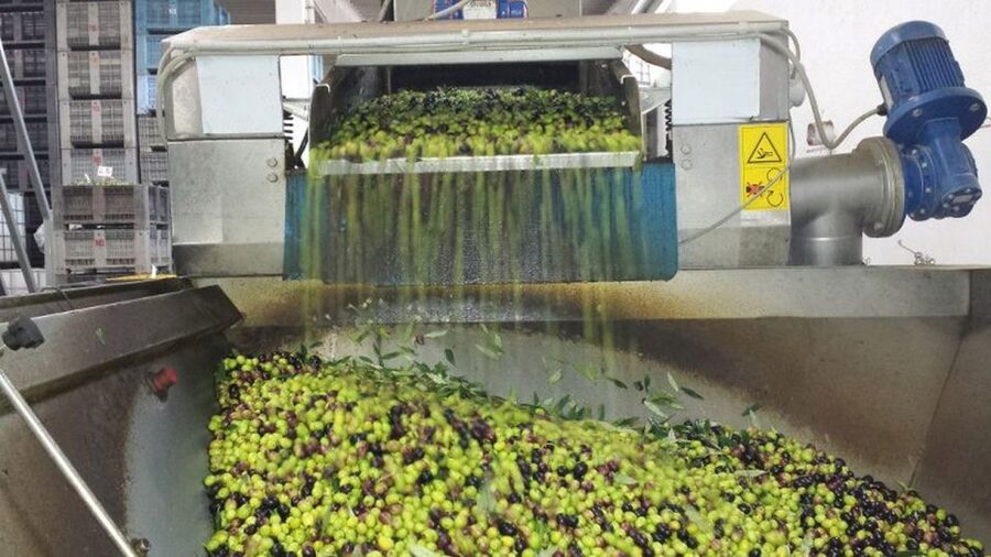 Villa Castelli: Highlights Walking Tour w/ Olive Oil Tasting - What Three Hours Feels Like