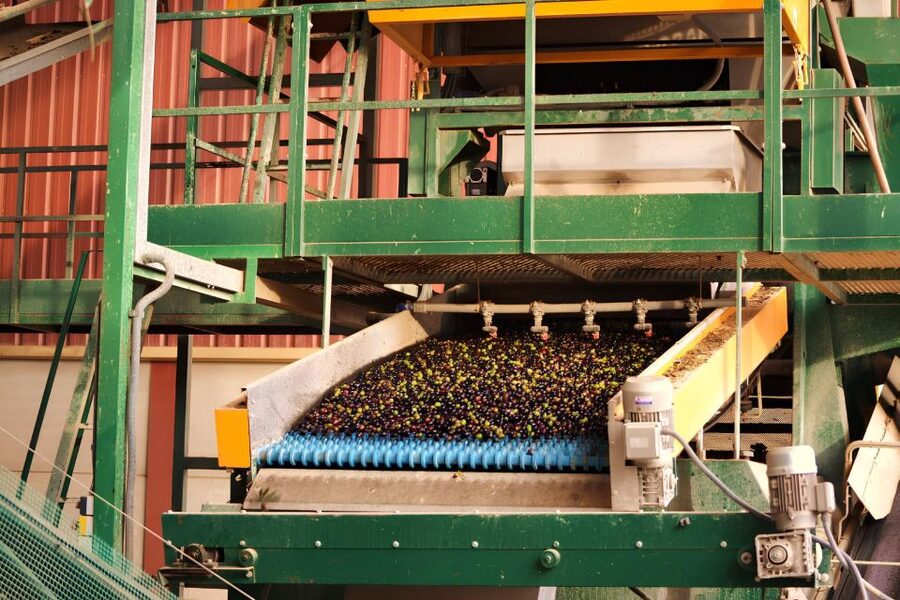 Visit an almazara + extra virgin olive oil tasting: Baeza - Key points at a glance