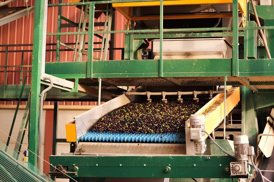 Visit an almazara + extra virgin olive oil tasting: Baeza - From olive delivery to clean fruit
