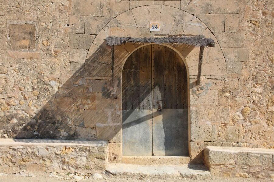 Visit of the olive grove, olive oil tasting and snack - Who should book this experience
