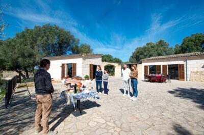 Visit of the olive grove, olive oil tasting and snack