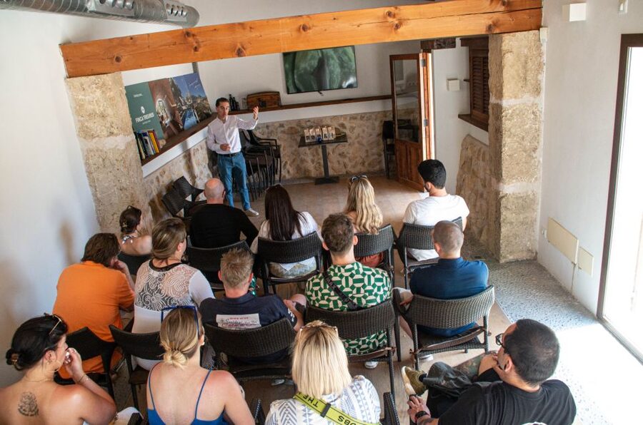 Visit of the olive grove, olive oil tasting and snack - The 30-minute lesson that changes how you taste oil