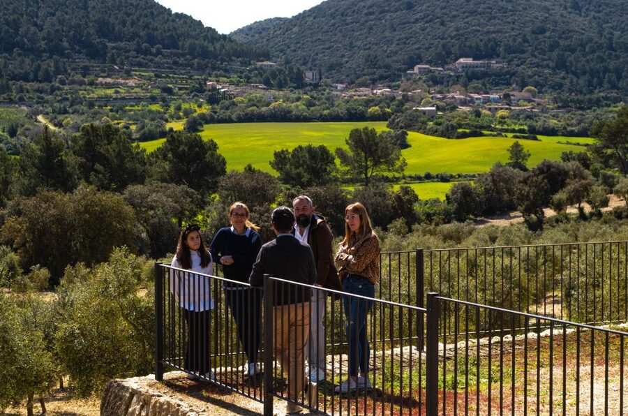 Visit of the olive grove, olive oil tasting and snack - Price, timing, and practical value