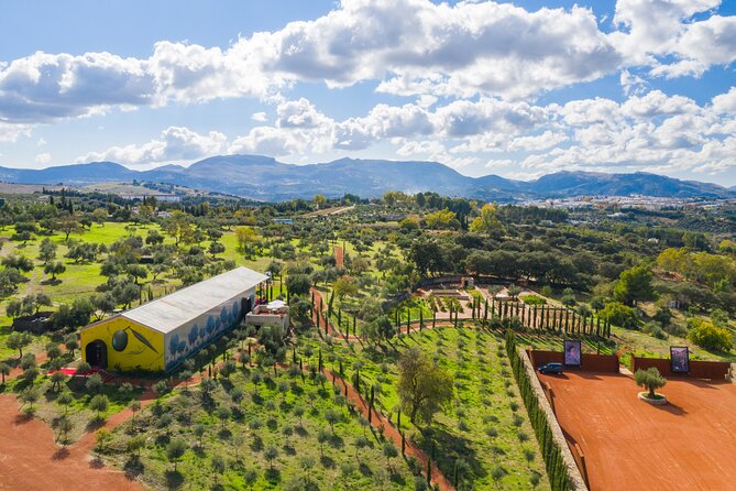 Visit Oil Mill Museum and Olive Oil Tasting in Ronda - Key points to know before you go
