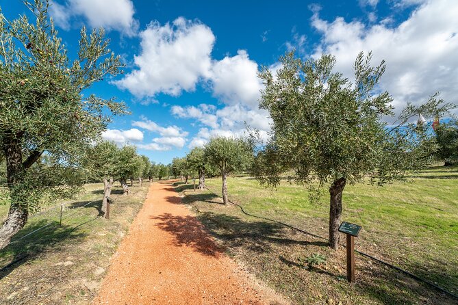 Visit Oil Mill Museum and Olive Oil Tasting in Ronda - The optional country lunch