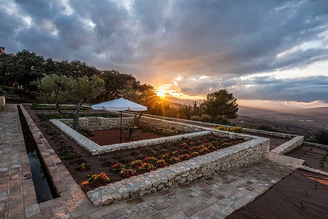 Visit Oil Mill Museum and Olive Oil Tasting in Ronda - Timing, price, and who gets the best value