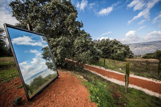 Visit Oil Mill Museum and Olive Oil Tasting in Ronda - Who should book this olive oil visit