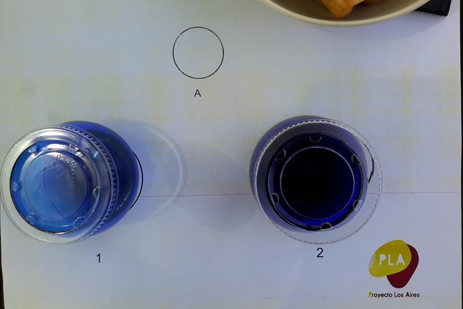 Visit olive grove centenary with oil tasting course - Heat, wind, shade, and farm facilities