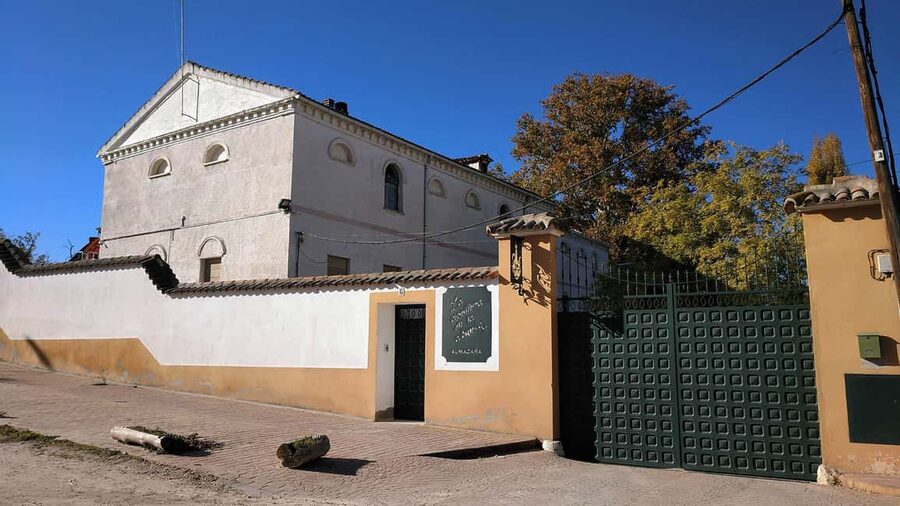 Visit to an olive oil mill and oil tasting with aperitif and food and wine pairing. - Walking through Titulcia and the olive grove
