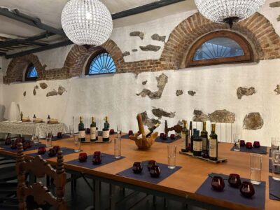 Visit to an olive oil mill and oil tasting with aperitif and food and wine pairing.