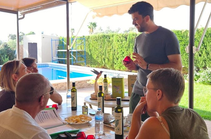 Visit to Family Ecological Olive Tree and Olive Oil Tasting - Timing, group size, and practical planning