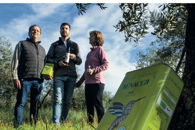 Visit to Family Ecological Olive Tree and Olive Oil Tasting - What the strongest praise tells you
