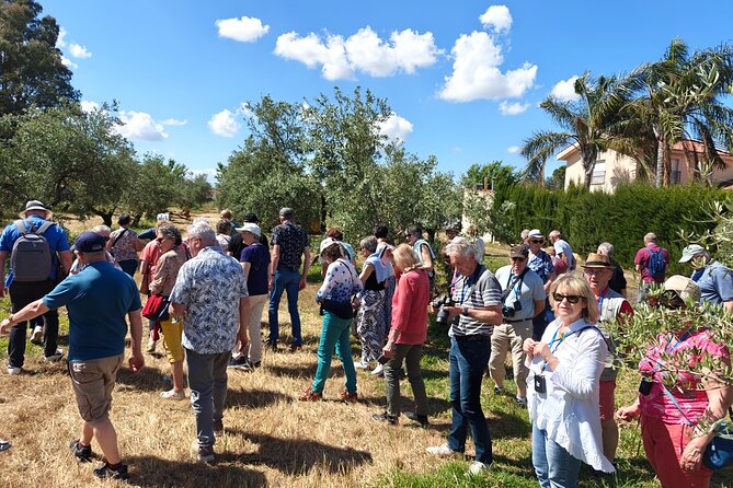 Visit to Family Ecological Olive Tree and Olive Oil Tasting - A directed tasting of organic EVOO