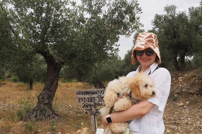 Visit to olive grove and olive mill with oil tasting and tasting - Guide style and group size