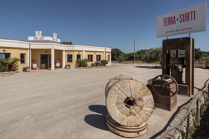 Visit to the olive grove, oil tasting and lunch at the farm - Getting there and planning the day