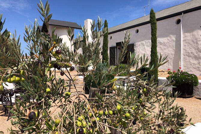 Wildlife Safari, Olive, Beer/Wine Tasting Day Tour from Cape Town - What the schedule feels like over nine hours