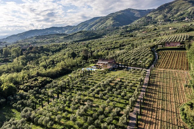 Wine and olive oil tasting & farm tour - Key points to know before you book