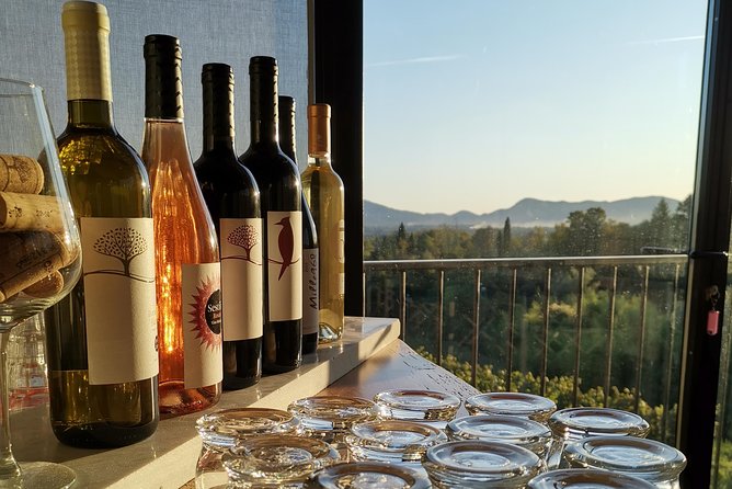 Wine and olive oil tasting & farm tour - From Lucca’s walls to a working Tuscan farm