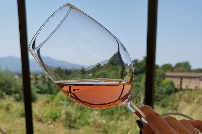 Wine and olive oil tasting & farm tour - Guides, group size, and the feel of the visit
