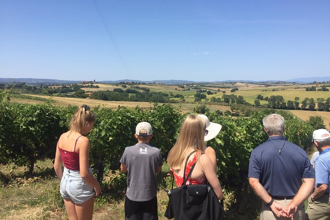 Wine and olive oil tastings with the locals - Key points to know before booking