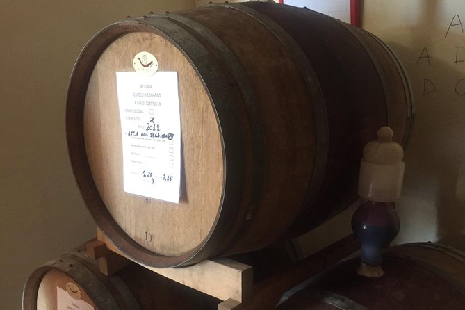 Wine and olive oil tastings with the locals - Meeting Tuscan families at the source