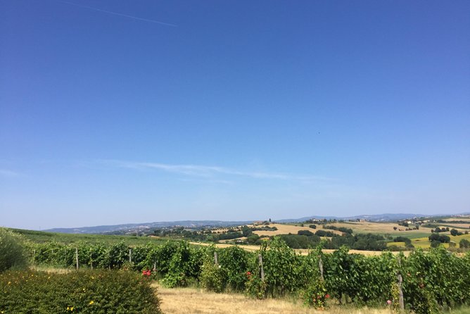 Wine and olive oil tastings with the locals - How personal is the experience?