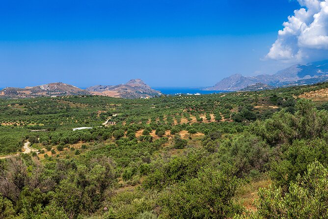 Wine, Beer, Olive Oil Tasting Private Tour (price per group of 6) - The real cost for a group of six