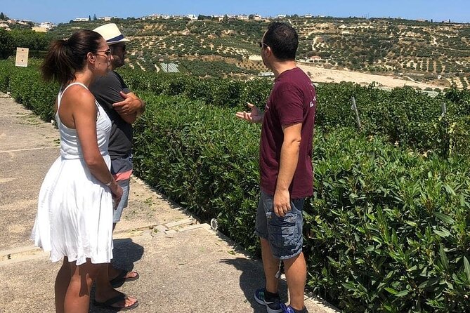 Wine olive and Food of Crete, Heraklion - A Cretan food tour with more than one setting